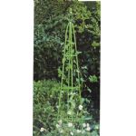 Colonne florale de jardin