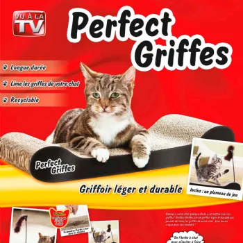 Jeu Attrape Souris Pour Chat